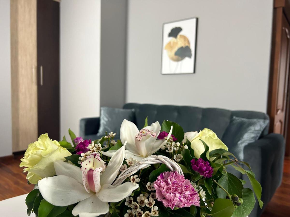 Mala Italia Apartament